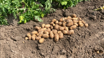 Boerenbusiness Gewastour 2024