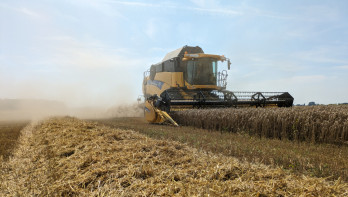 Tarweoogst met een combine op een akkerbouwperceel, oogst van gewassen