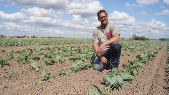 Kasper Kleijwegt, vollegrondsgroentebedrijf in Mijnsheerenland,