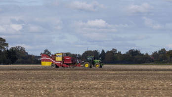 Aardappeloogst in Duitsland