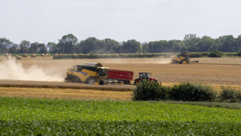 Tarwe wordt geoogst op een akkerbouwbedrijf in Frankrijk