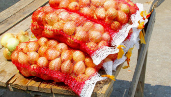 Zakken met gele uien uit Senegal, verse producten voor export of verkoop