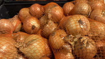 Uien bij supermarkt Plus