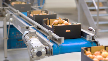 In een doosje verpakte uien