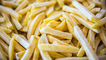 Diepgevroren frites van aardappelen, voorgebakken en gesneden friet bestemd voor verwerking en consumptie