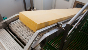 Industriële productie van halfharde kazen