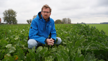 Een man met blauwe jas hurkt in een veld met bieten