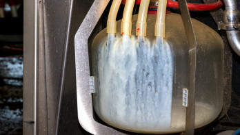 Melk die via vier slangen in een grote verzamelcontainer stroomt, gebruikt bij een melkrobot.