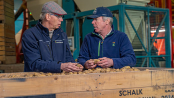 Twee mannen inspecteren aardappelen