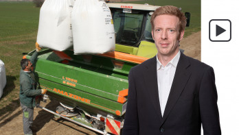 kunstmest wintertarwe tarwe