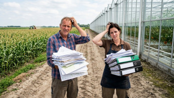 Twee personen staan op een pad naast een kas met stapels papier en kijken verward naar de administratie.