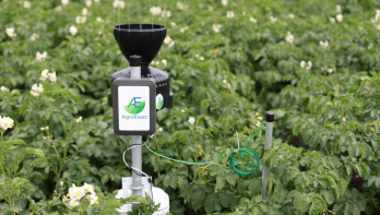 Een weerstation van AgroExact staat in een aardappelveld