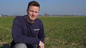 Een man knielt op een veld met uien