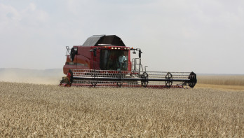 Combine tarwe dorsen