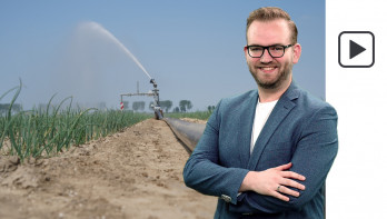 droogte uien zomer beregenen