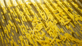 Productielijn in een fritesfabriek. Frites, Fast food
