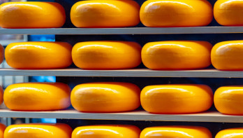 Nederlandse Gouda kaas