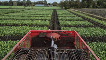 Oogstmachine aan het werk op een groen landbouwveld.