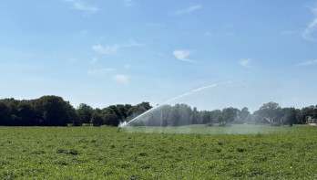 Aardappelen beregenen