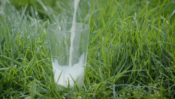 Glas melk in het gras