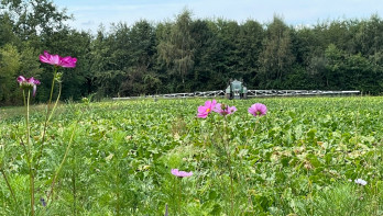 De veldspuit aan het werk op een perceel in Nijkerk, met een bloemrijke akkerrand en bos eromheen