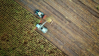 Luchtfoto van een maïsoogst waarbij een hakselaar de geoogste maïs in een aanhanger blaast die door een tractor wordt getrokken.
