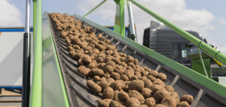 aardappelen akkerbouw aardappeloogst transport