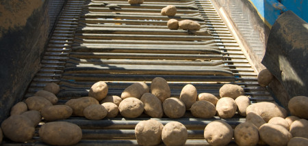 aardappelen akkerbouw transport