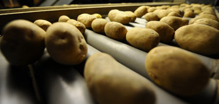 aardappelen akkerbouw sorteren