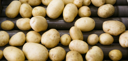 aardappelen akkerbouw aardappelverwerking verwerking