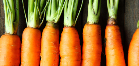 racines de carottes arables