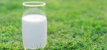verre de lait consommateur produits laitiers