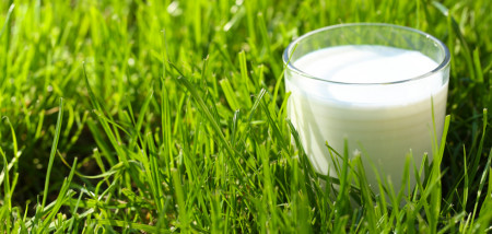 melk glas consumenten zuivel