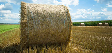 akkerbouw veehouderij stro strobalen