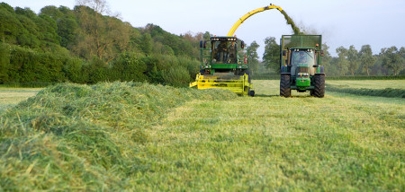 gras grasland melkveebedrijf maaien ruwvoer kuilgras kuilvoer hakselen