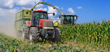 mais hakselen hakselaar maisoogst