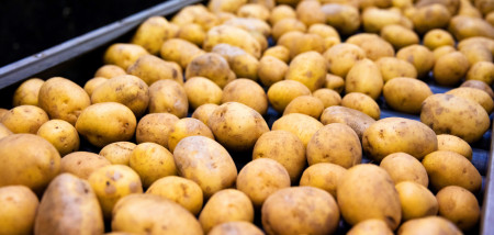 Rusland stevent af op een tekort aan aardappelen