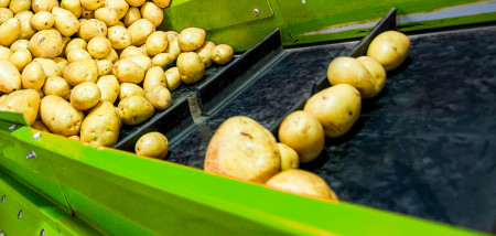 aardappelen akkerbouw aardappeloogst aardappelverwerking