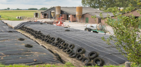 melkveebedrijf kuilvoer kuil