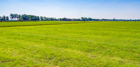 Friesland biedt 450 hectare pachtgrond aan