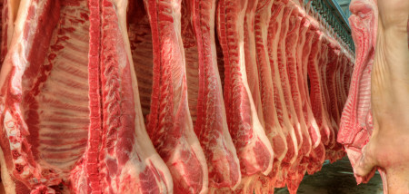 Export EU-varkensvlees in 2020 nog veel hoger
