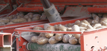 aardappelen akkerbouw voorjaar lente aardappelen poten