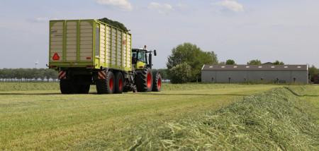 gras grasland melkveebedrijf grasoogst