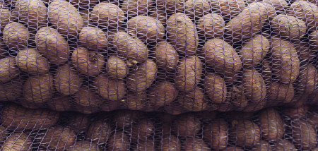 aardappelen akkerbouw aardappelexport