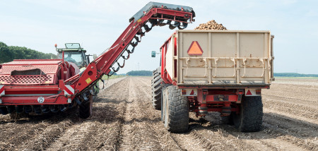 aardappelen akkerbouw aardappeloogst