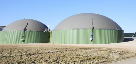 vergister vergisting