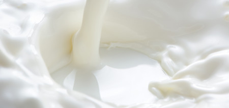 melk zuivel melkveebedrijf melkverwerking