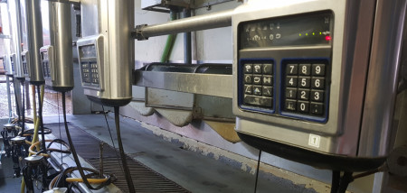 melken melkveebedrijf