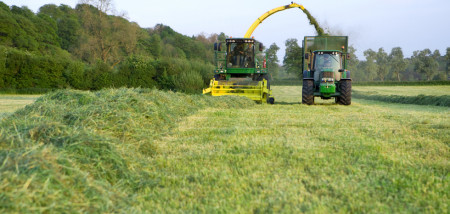 gras grasland melkveebedrijf hakselen hakselaar grasoogst
