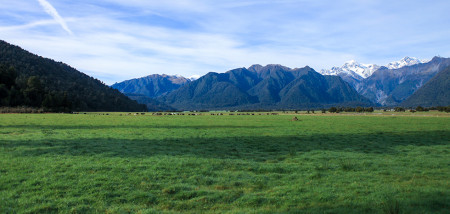melkveebedrijf nieuwzeeland Nieuw-Zeeland